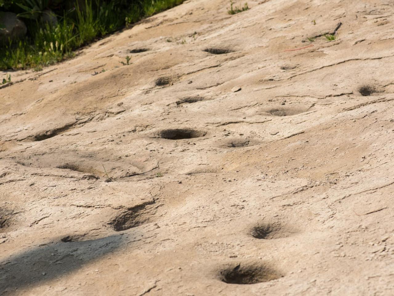 Imagen del monumento Plazoleta de piedras tacitas