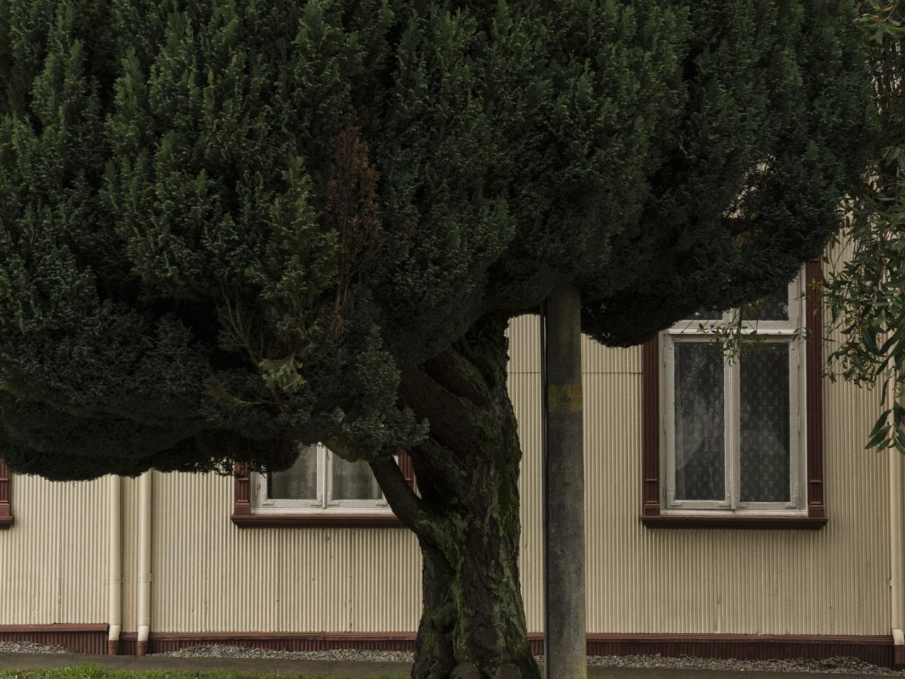 Imagen del monumento Casona Alemana