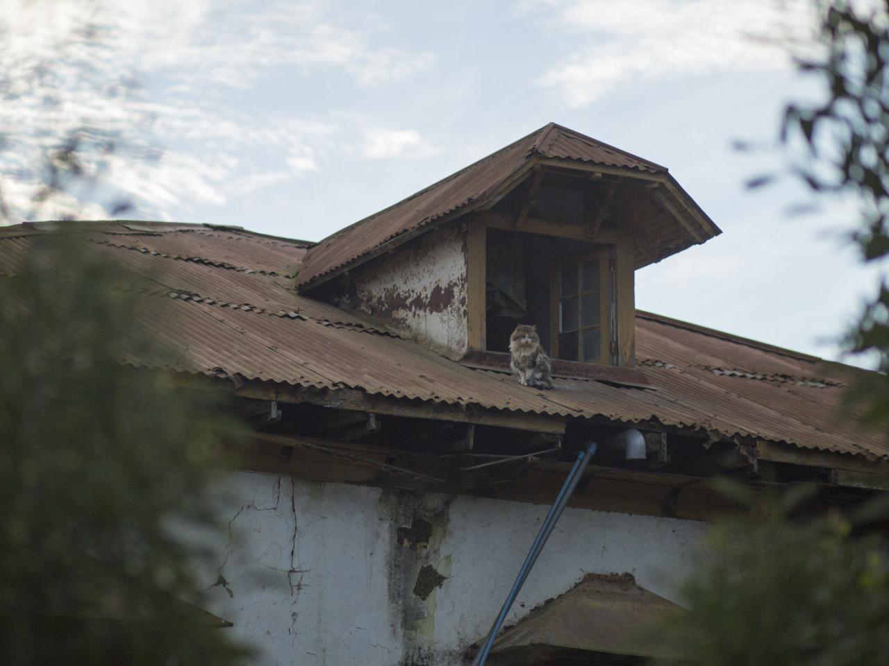 Imagen del monumento Casona El Tabo