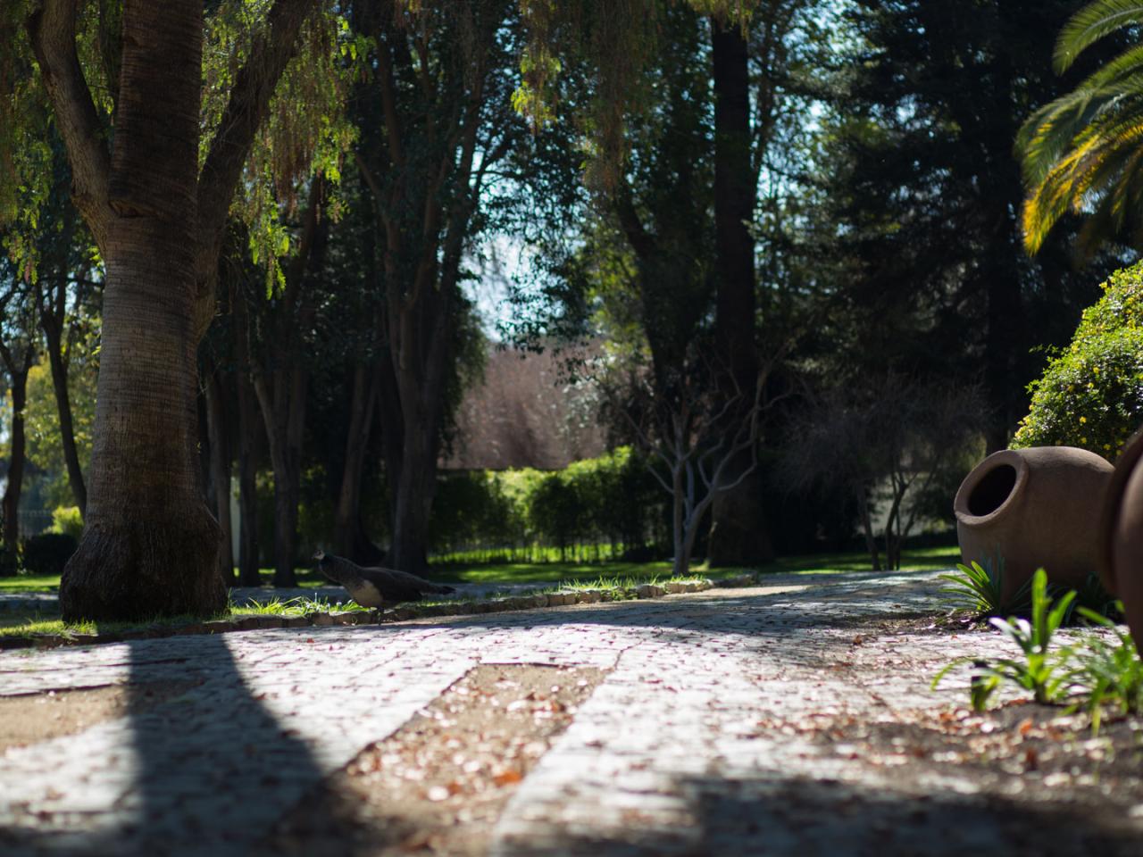 Imagen del monumento Instalaciones agrícolas y Parque de la ex hacienda San Vicente Ferrer