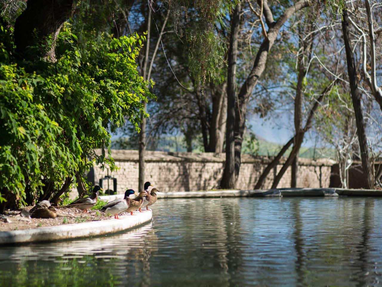 Imagen del monumento Instalaciones agrícolas y Parque de la ex hacienda San Vicente Ferrer