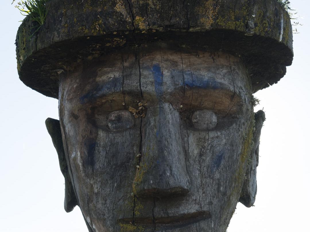 Imagen del monumento Nguillatuwe, menoko y cementerio del complejo ceremonial y religioso mapuche de Monopaine