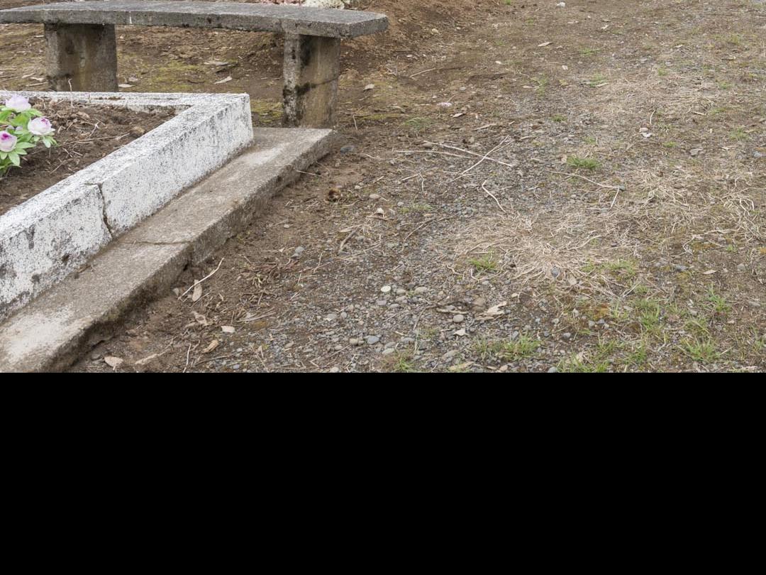Imagen del monumento Complejo religioso y  ceremonial indígena mapuche de Nolgyehue ó Nolguehue, Eltuwe (cementerio) y Menoko