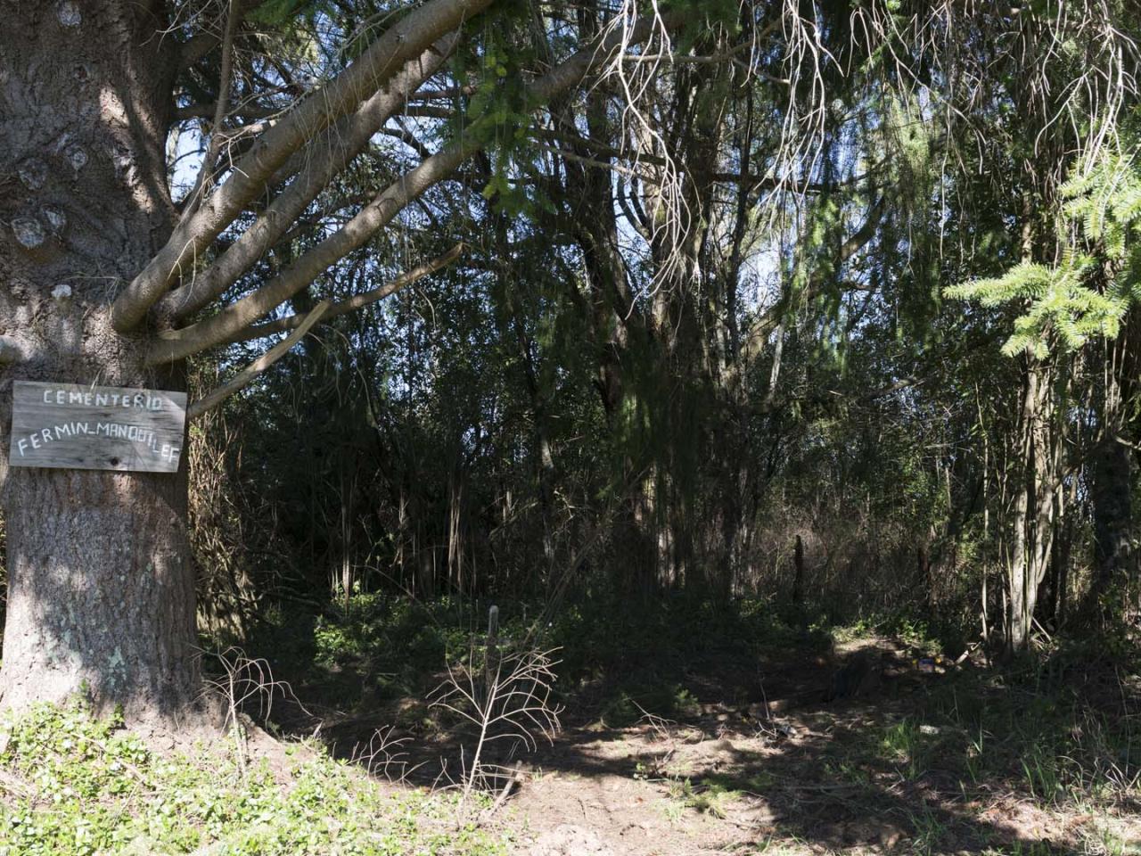 Imagen del monumento Eltun (cementerio mapuche) de Pelal Rucahue del lof Manquilef
