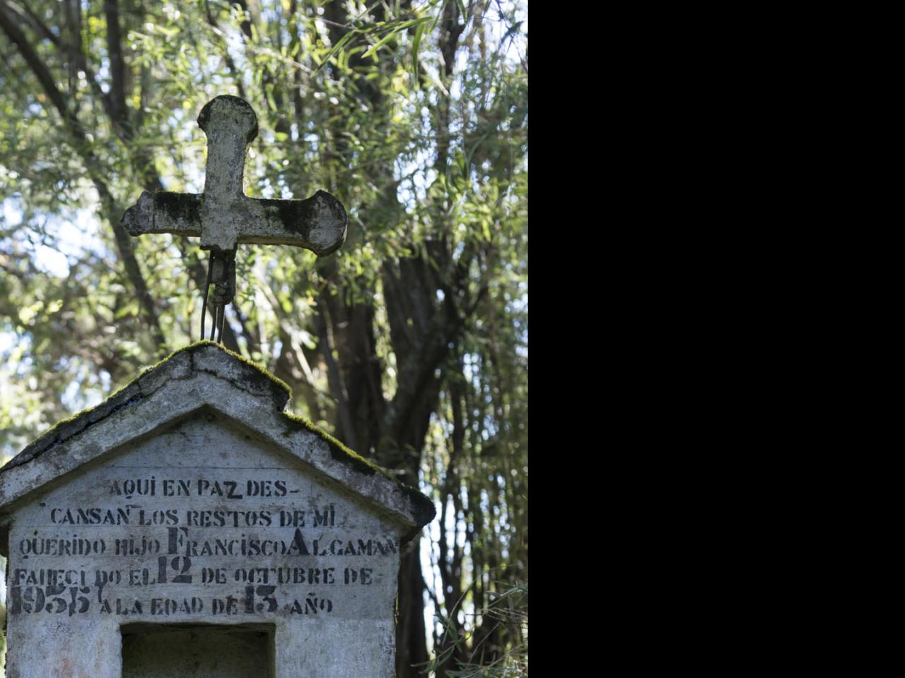 Imagen del monumento Eltun (cementerio mapuche) de Pelal Rucahue del lof Manquilef