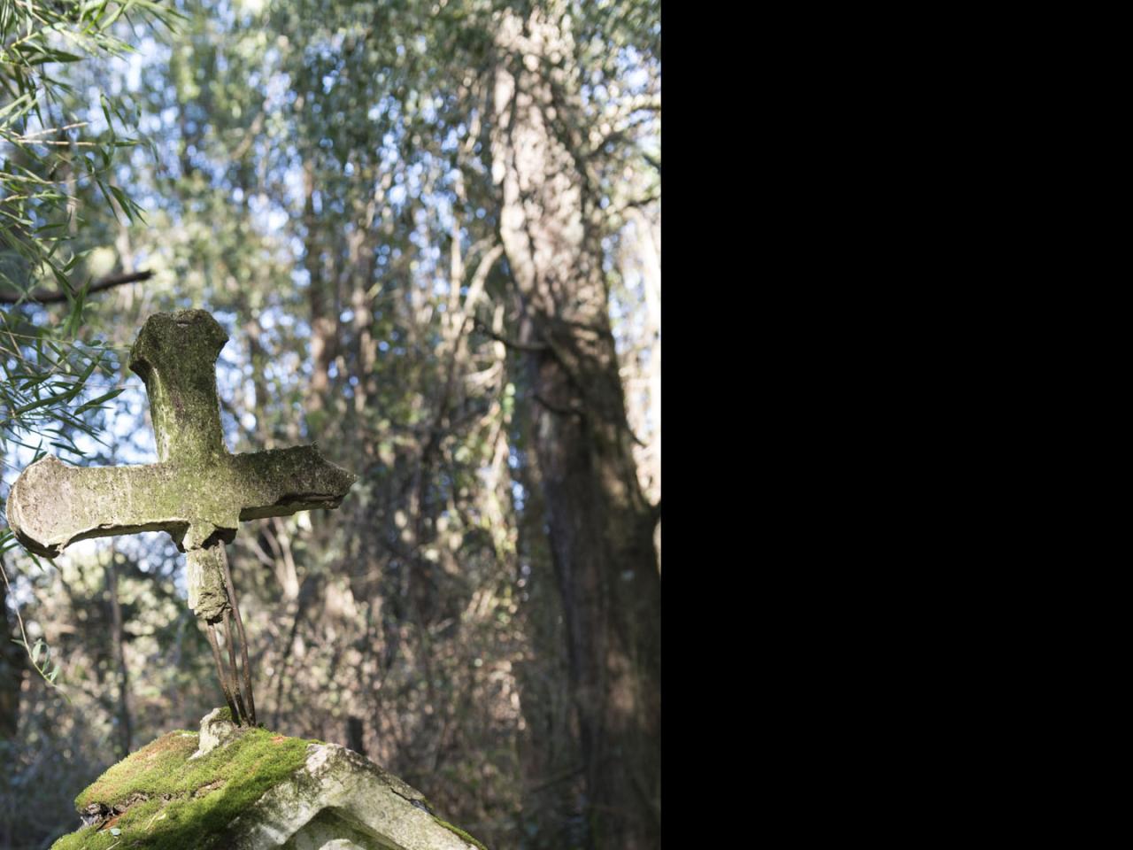 Imagen del monumento Eltun (cementerio mapuche) de Pelal Rucahue del lof Manquilef