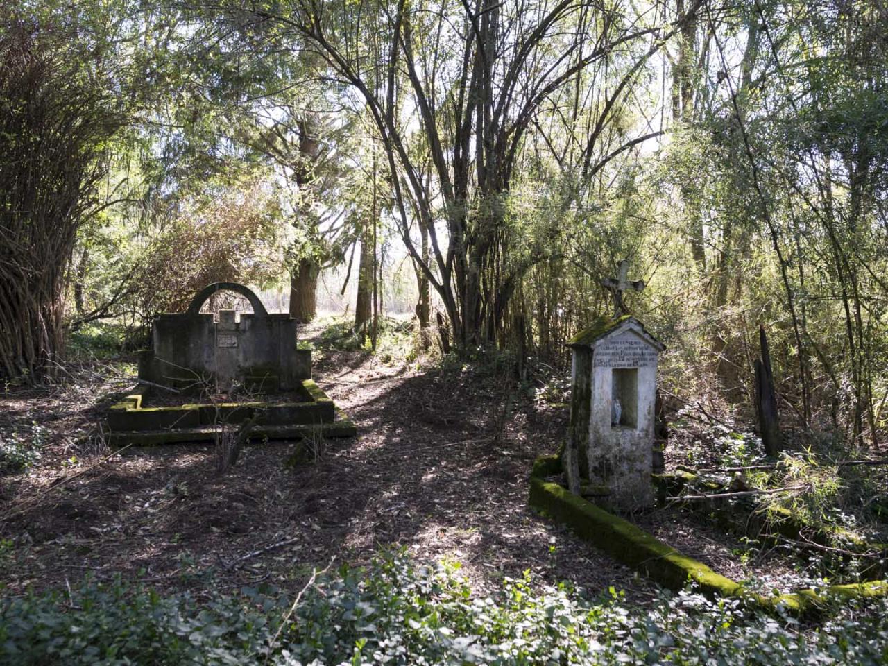 Imagen del monumento Eltun (cementerio mapuche) de Pelal Rucahue del lof Manquilef