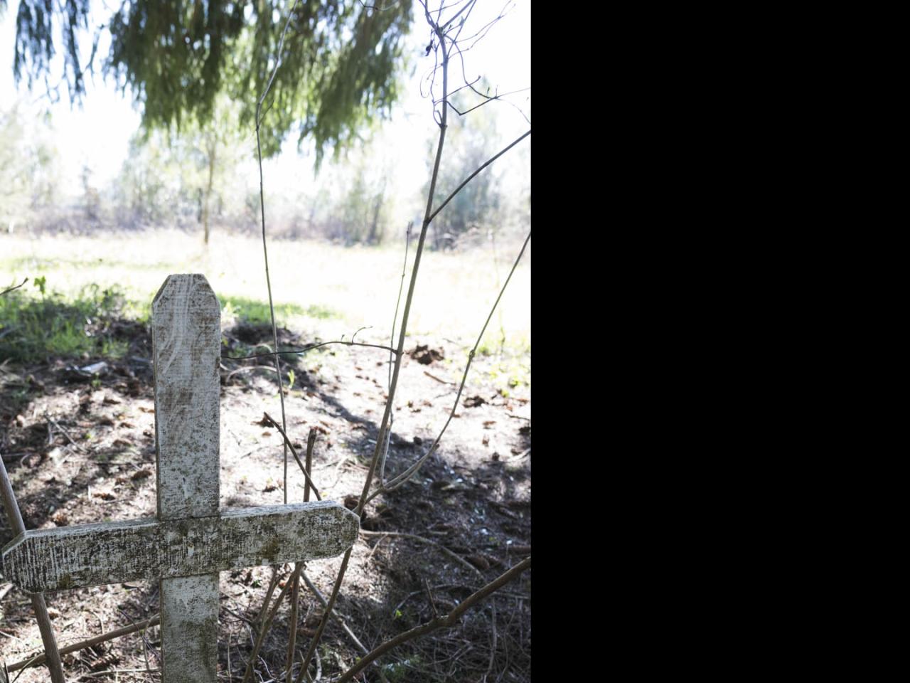 Imagen del monumento Eltun (cementerio mapuche) de Pelal Rucahue del lof Manquilef