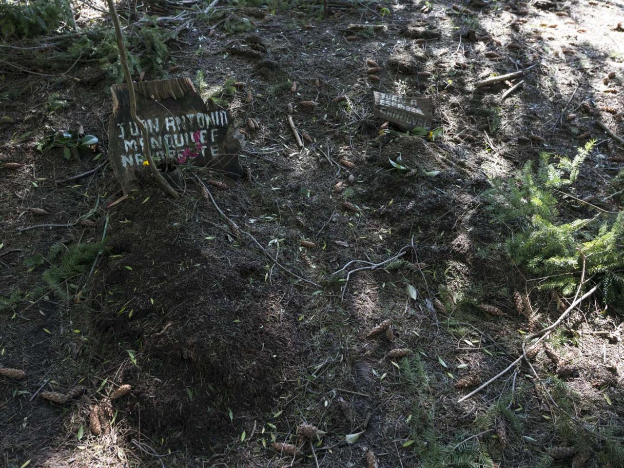 Imagen del monumento Eltun (cementerio mapuche) de Pelal Rucahue del lof Manquilef