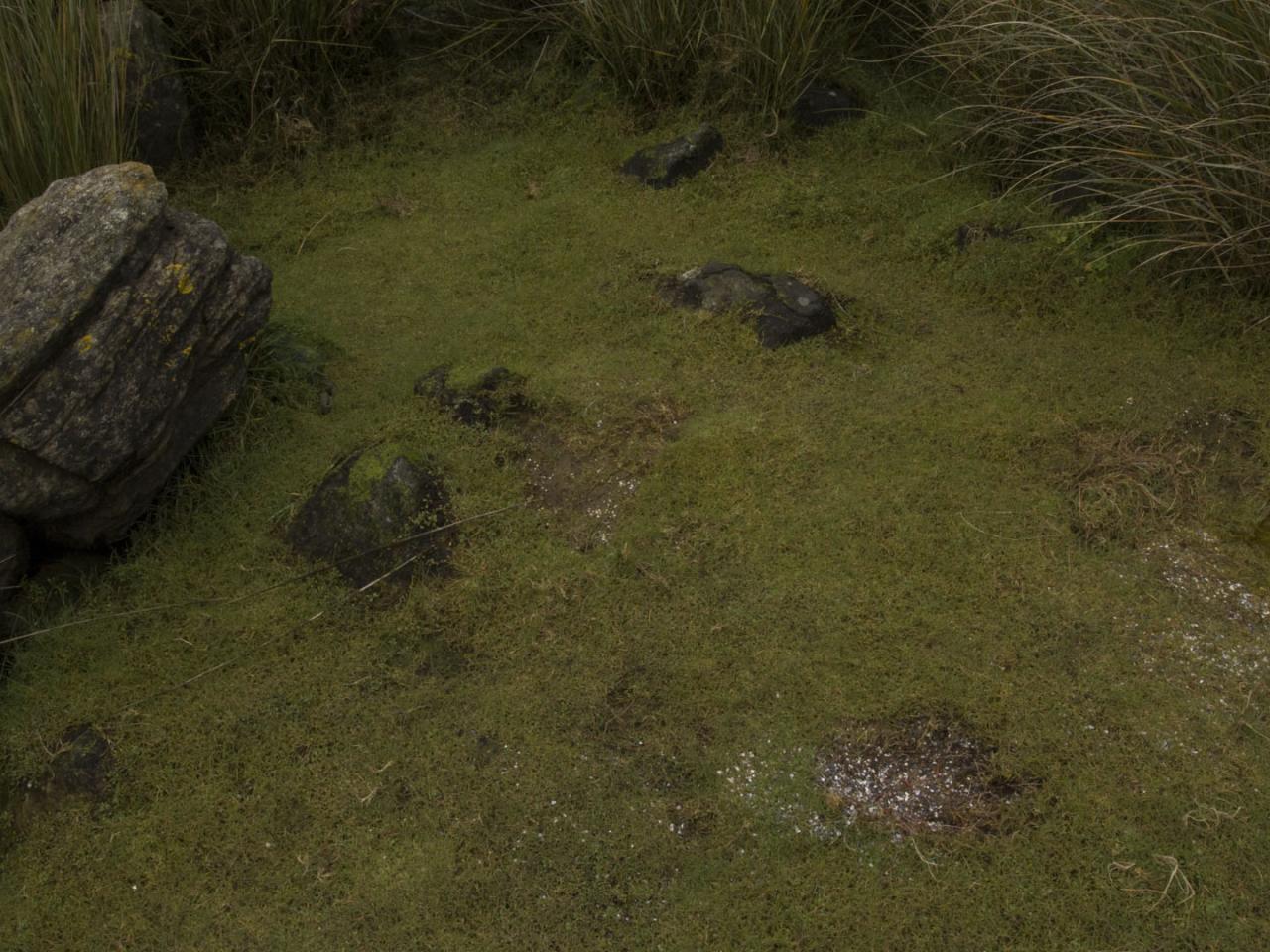 Imagen del monumento Corrales de Pesca y Conchales Arqueológicos ubicados en la Isla Chala