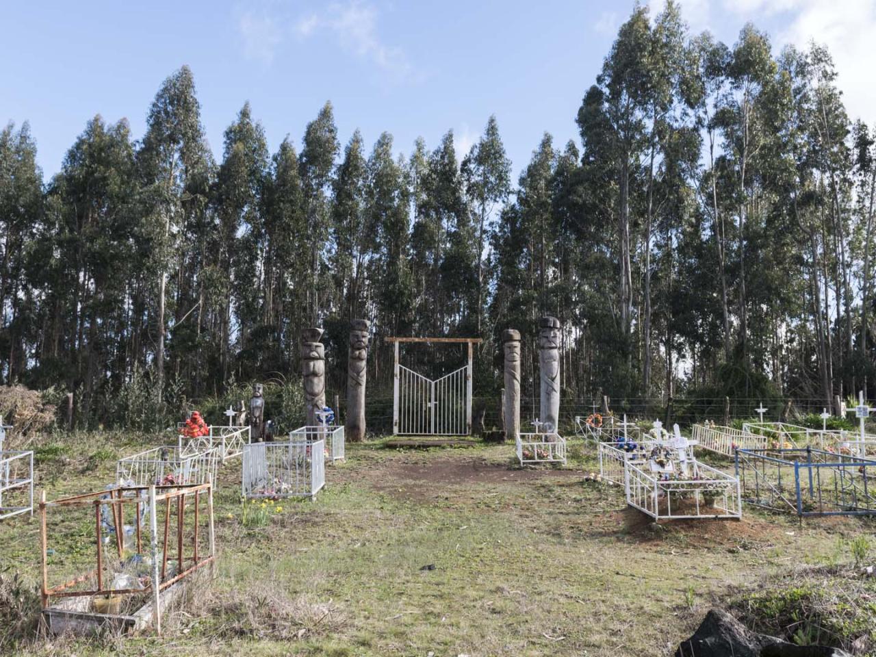 Imagen del monumento Eltun o cementerio mapuche ubicado en la localidad de Los Huape