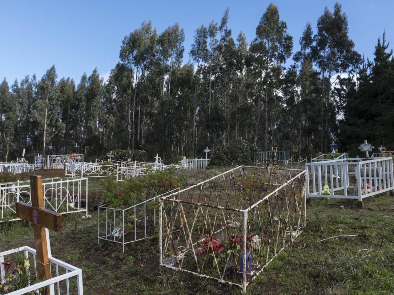 Imagen del monumento Eltun o cementerio mapuche ubicado en la localidad de Los Huape