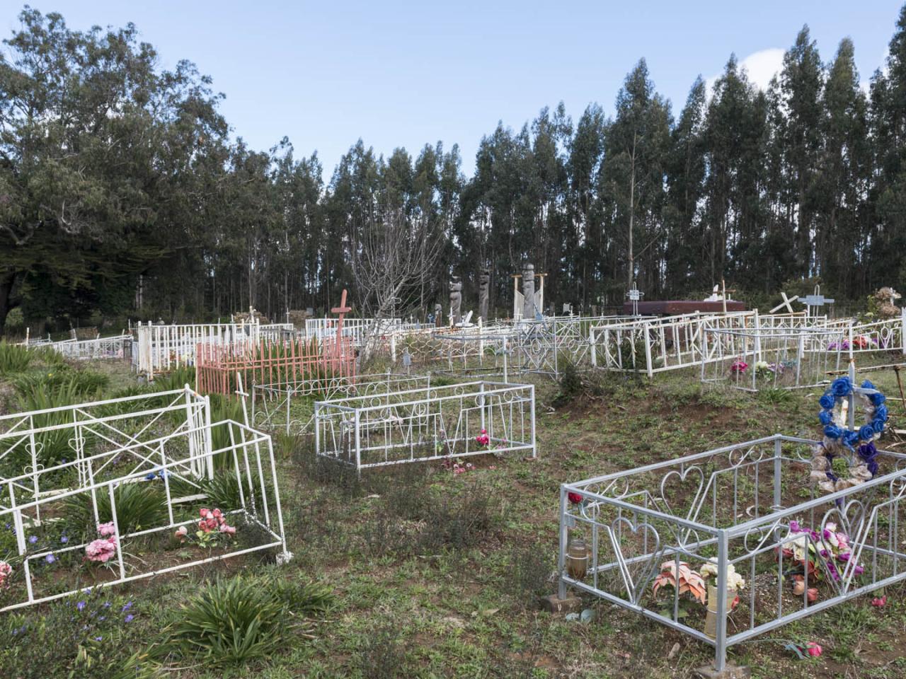 Imagen del monumento Eltun o cementerio mapuche ubicado en la localidad de Los Huape