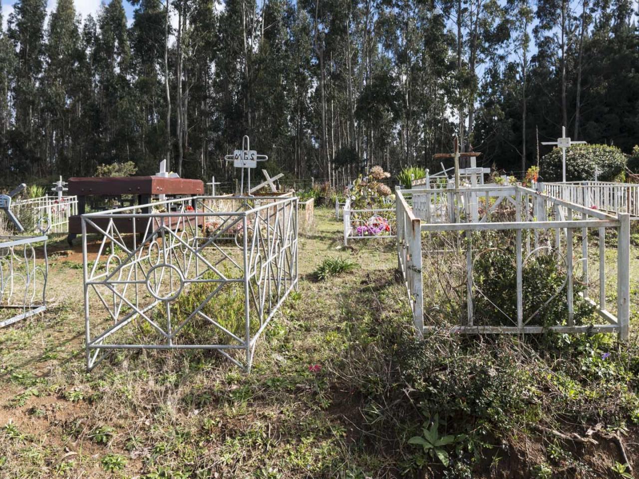 Imagen del monumento Eltun o cementerio mapuche ubicado en la localidad de Los Huape