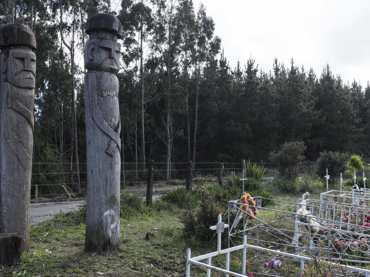 Imagen del monumento Eltun o cementerio mapuche ubicado en la localidad de Los Huape