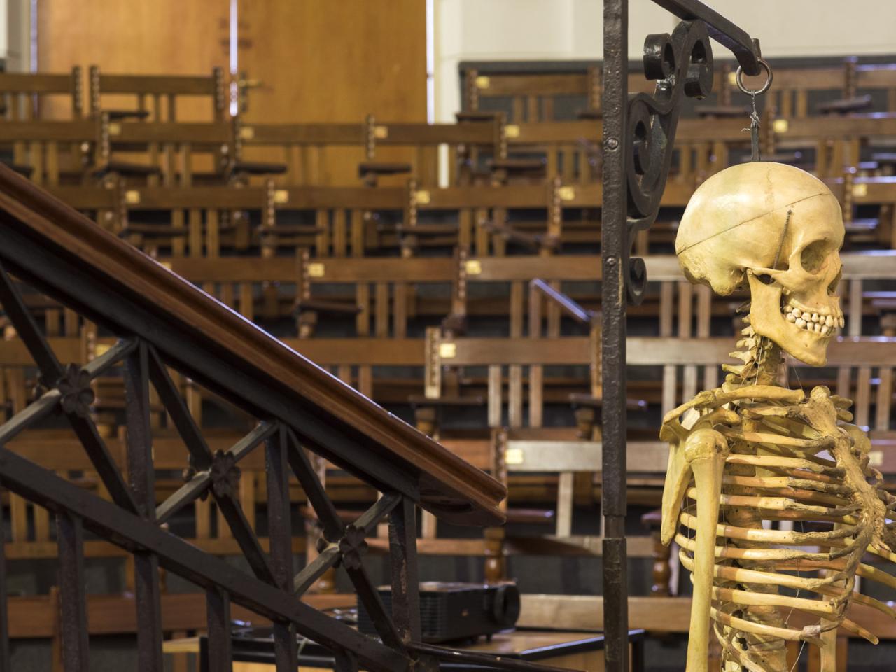 Imagen del monumento Anfiteatro del Instituto de Anatomía