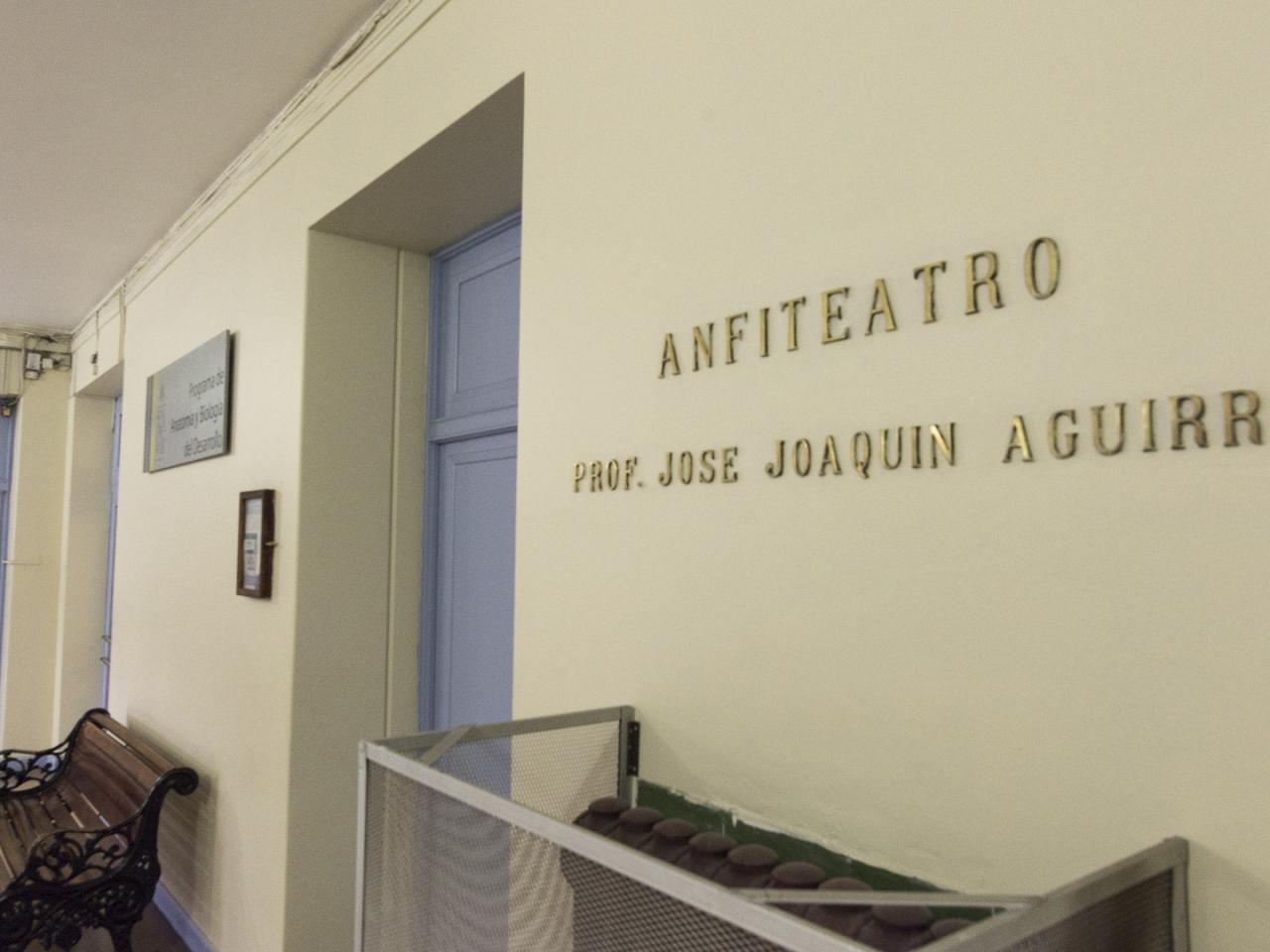Imagen del monumento Anfiteatro del Instituto de Anatomía