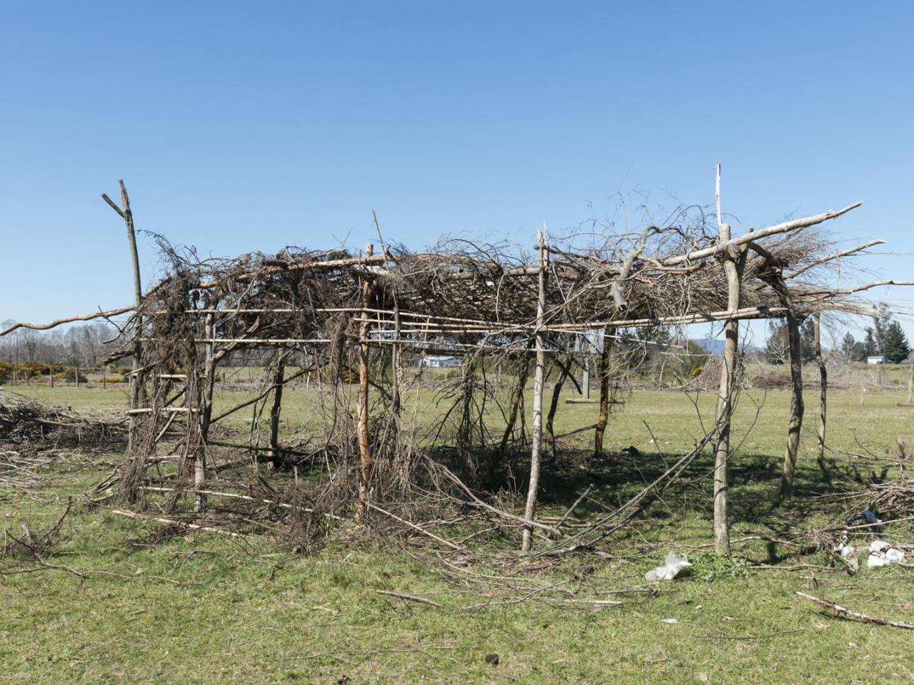Imagen del monumento Complejo Religioso y ceremonial Nguillatuwe de la localidad de Pelleco Lof Maiten