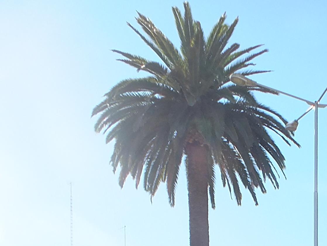 Imagen del monumento Homenaje a las Victimas de violaciones de DD. HH. Ovalle