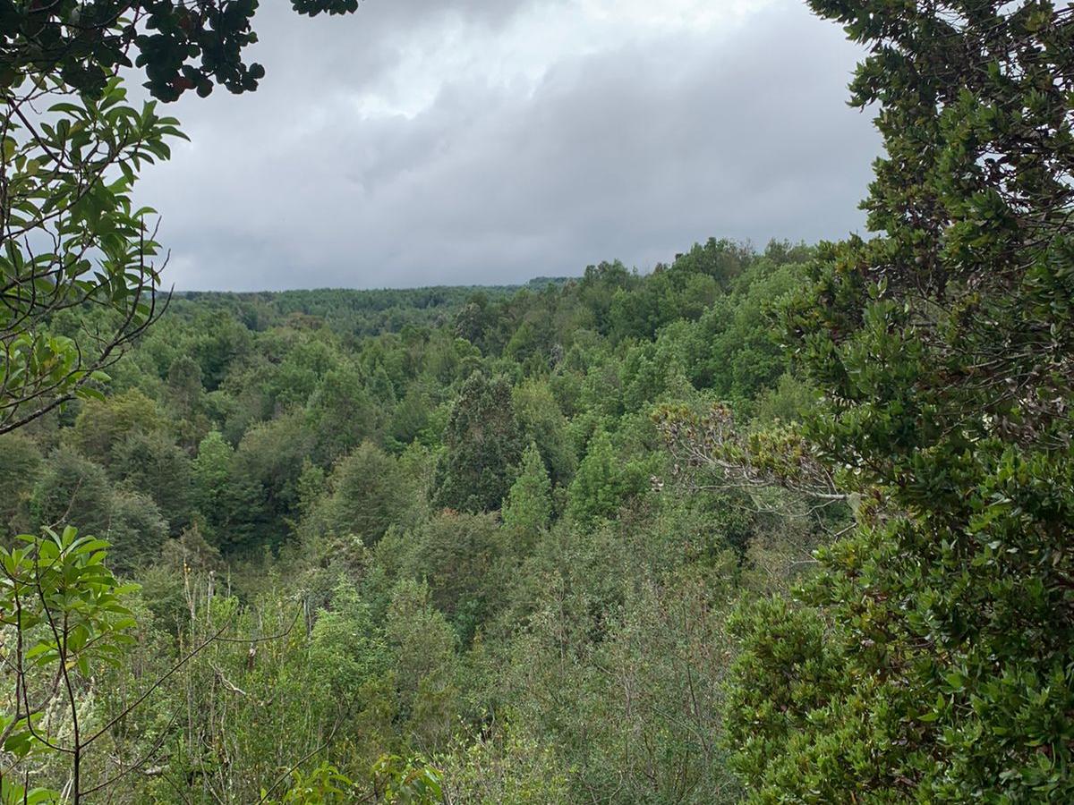 Imagen del monumento Parque Katalapi
