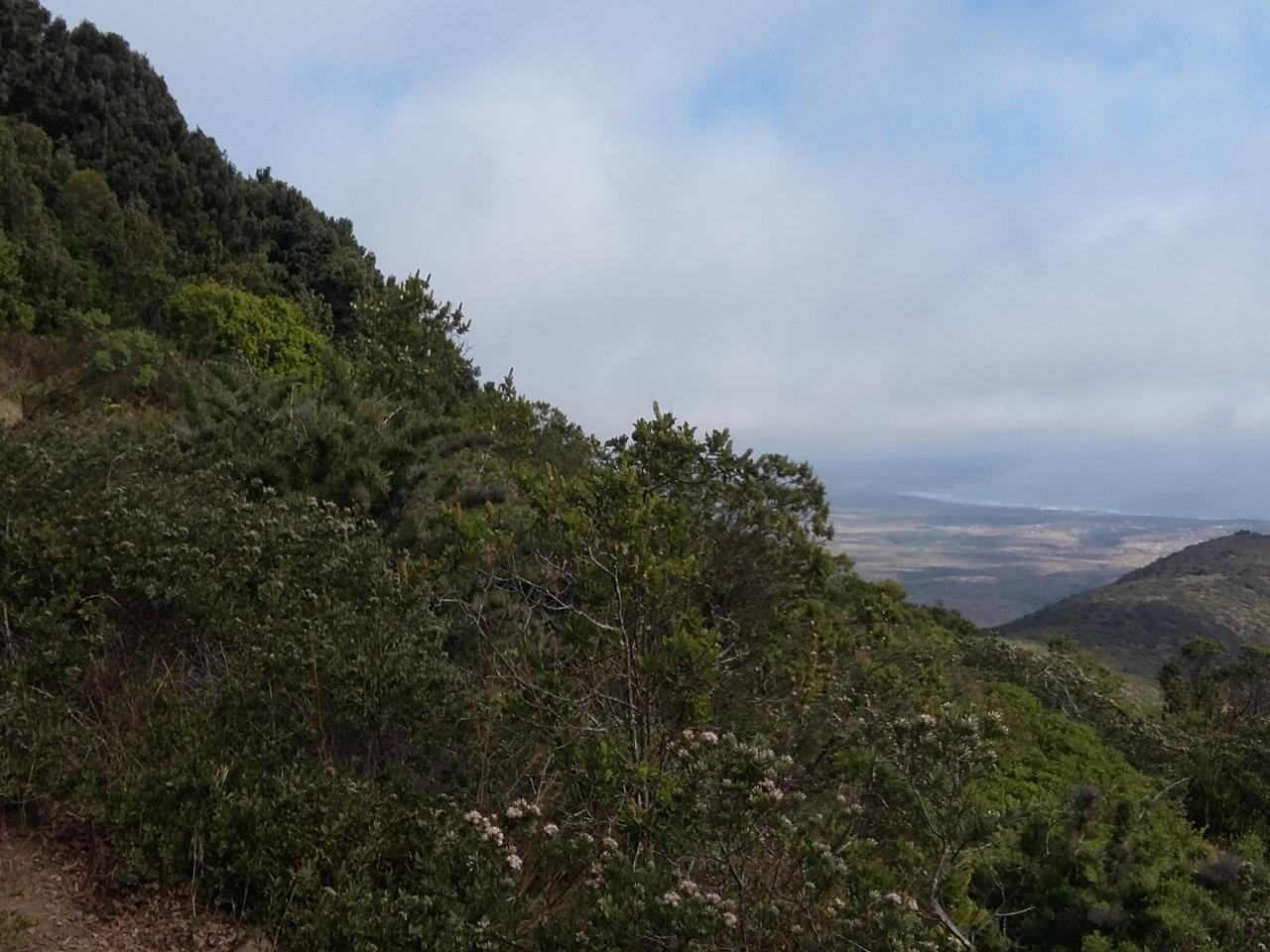 Imagen del monumento Cerro Santa Inés