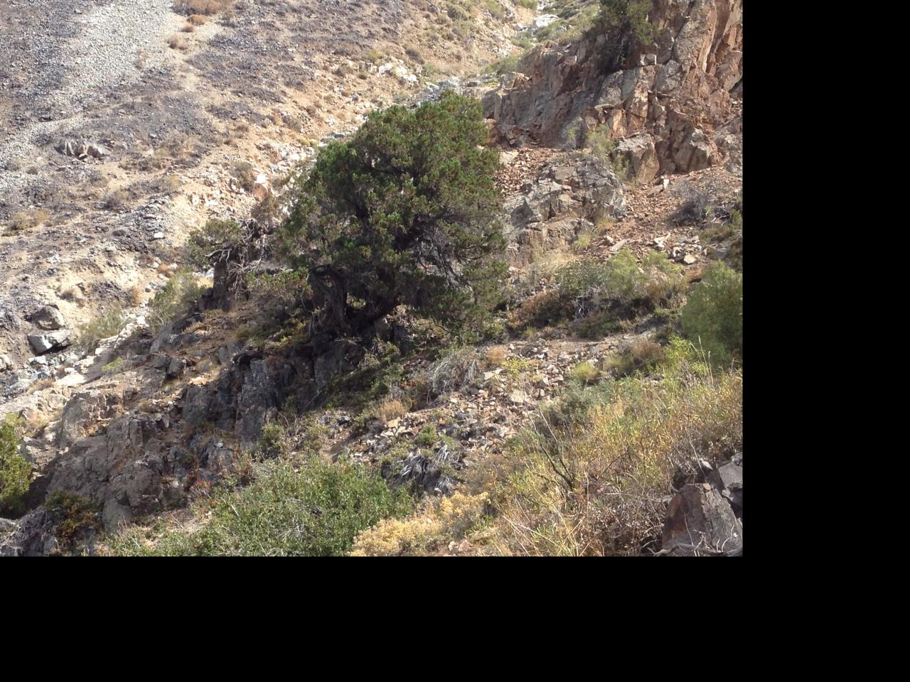 Imagen del monumento Serranía El Ciprés