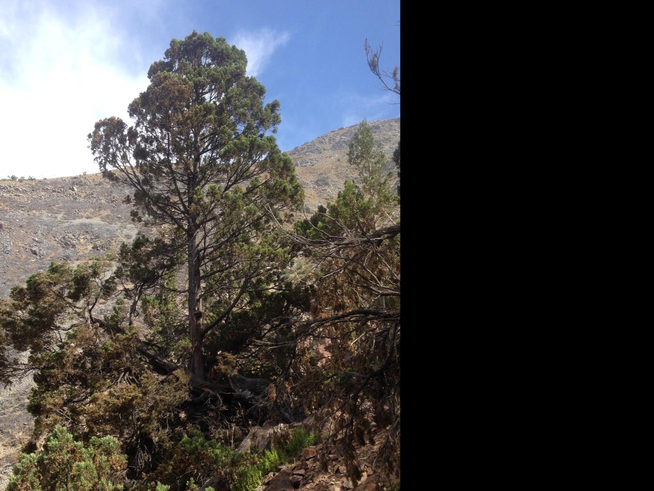 Imagen del monumento Serranía El Ciprés