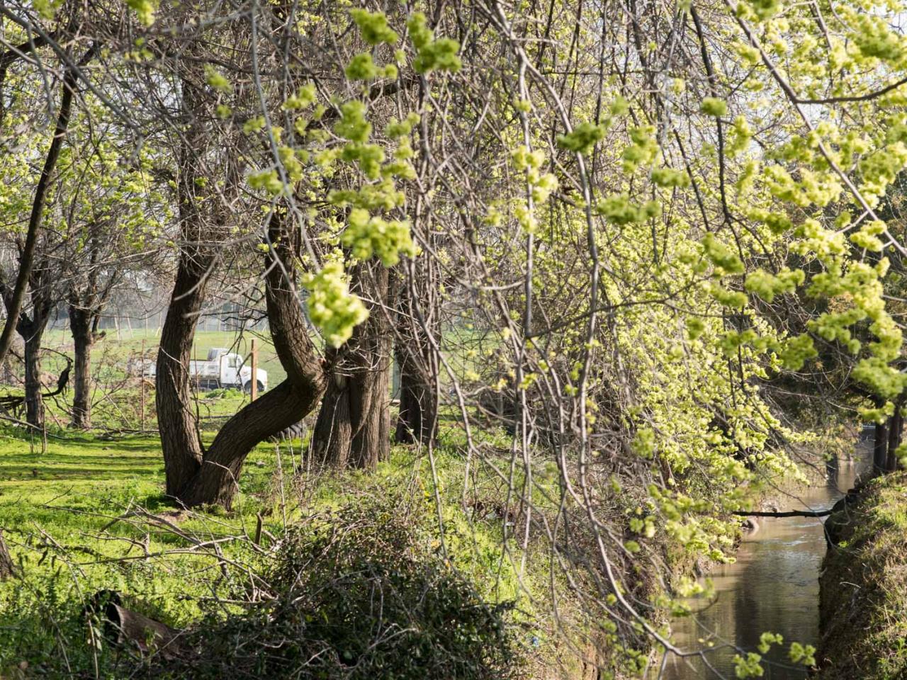 Imagen del monumento Cerro San Benito de los Piques