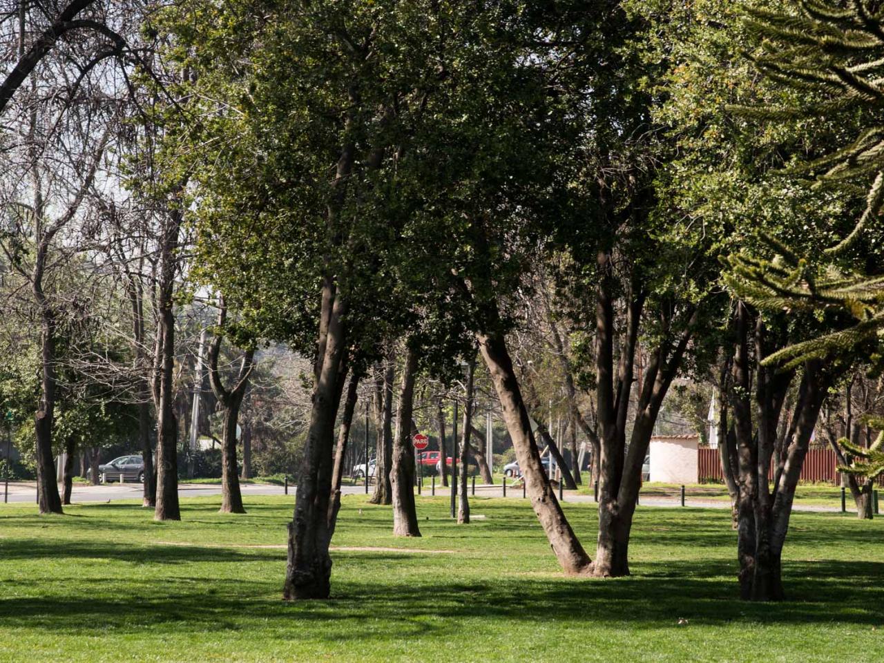 Imagen del monumento Parque Municipal