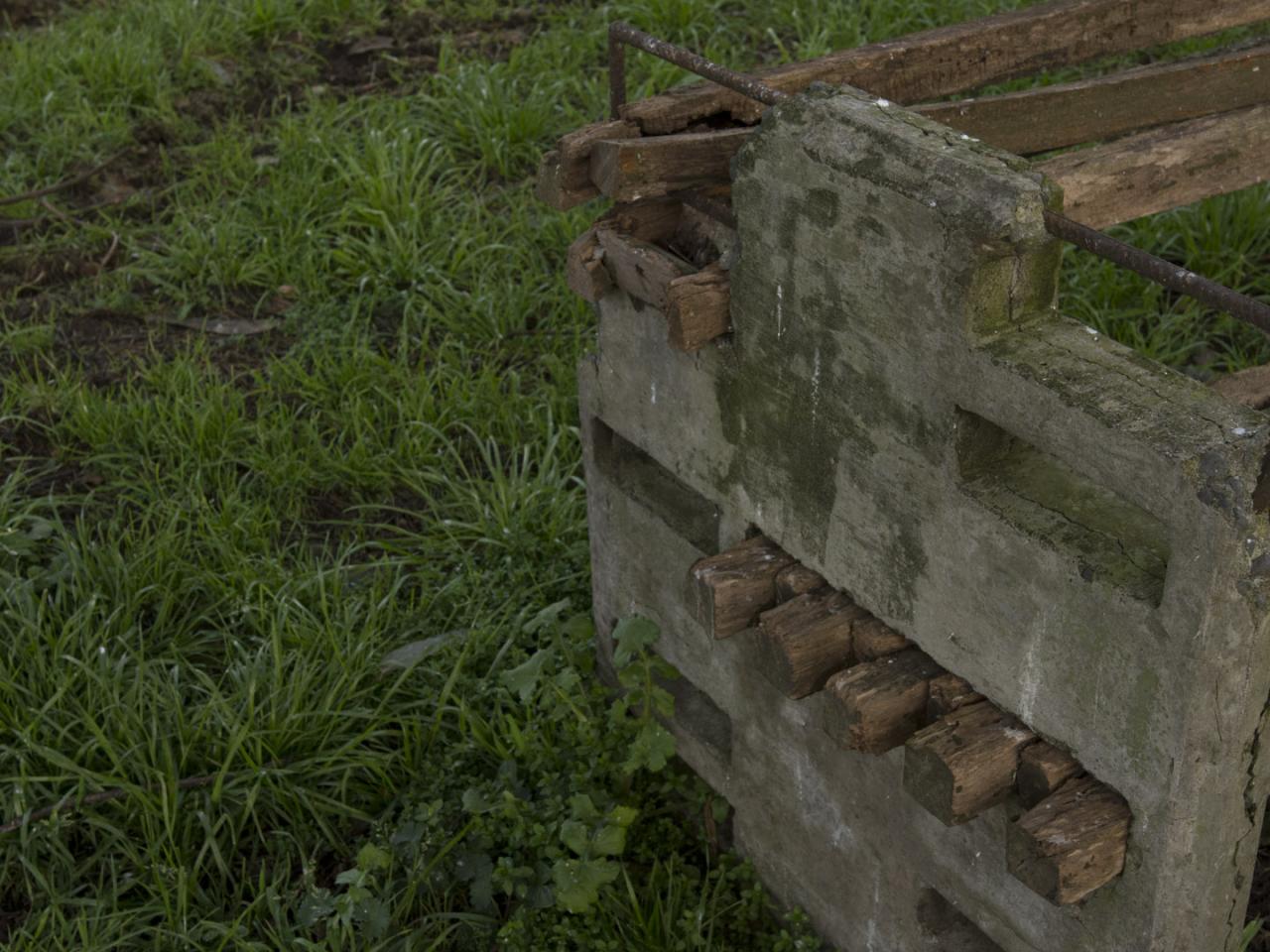 Imagen del monumento Parque que rodea la Casa Hollstein