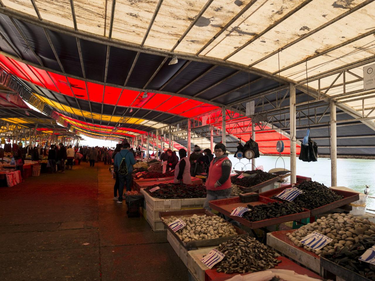 Imagen del monumento Feria fluvial de Valdivia y su entorno