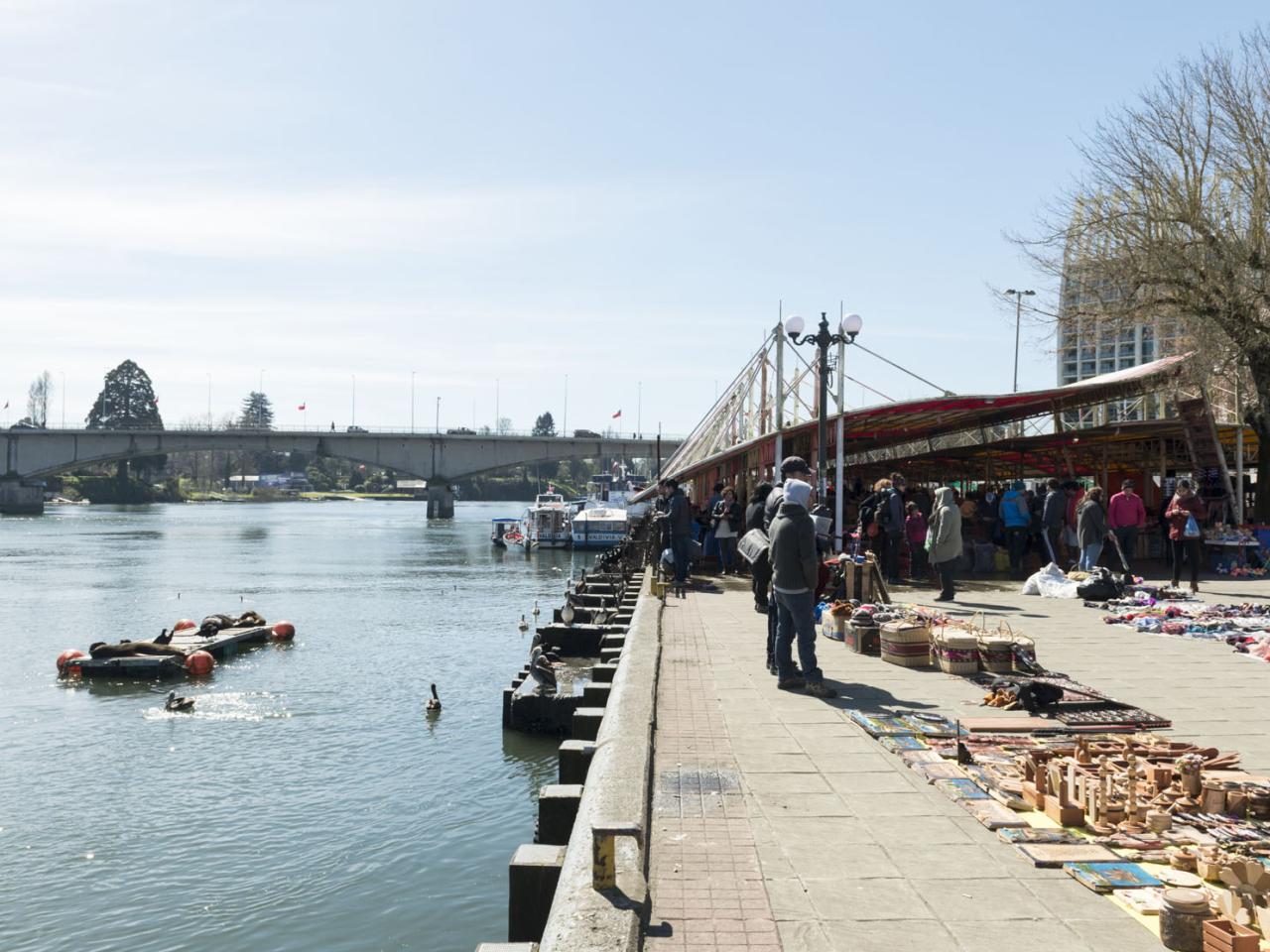 Imagen del monumento Feria fluvial de Valdivia y su entorno