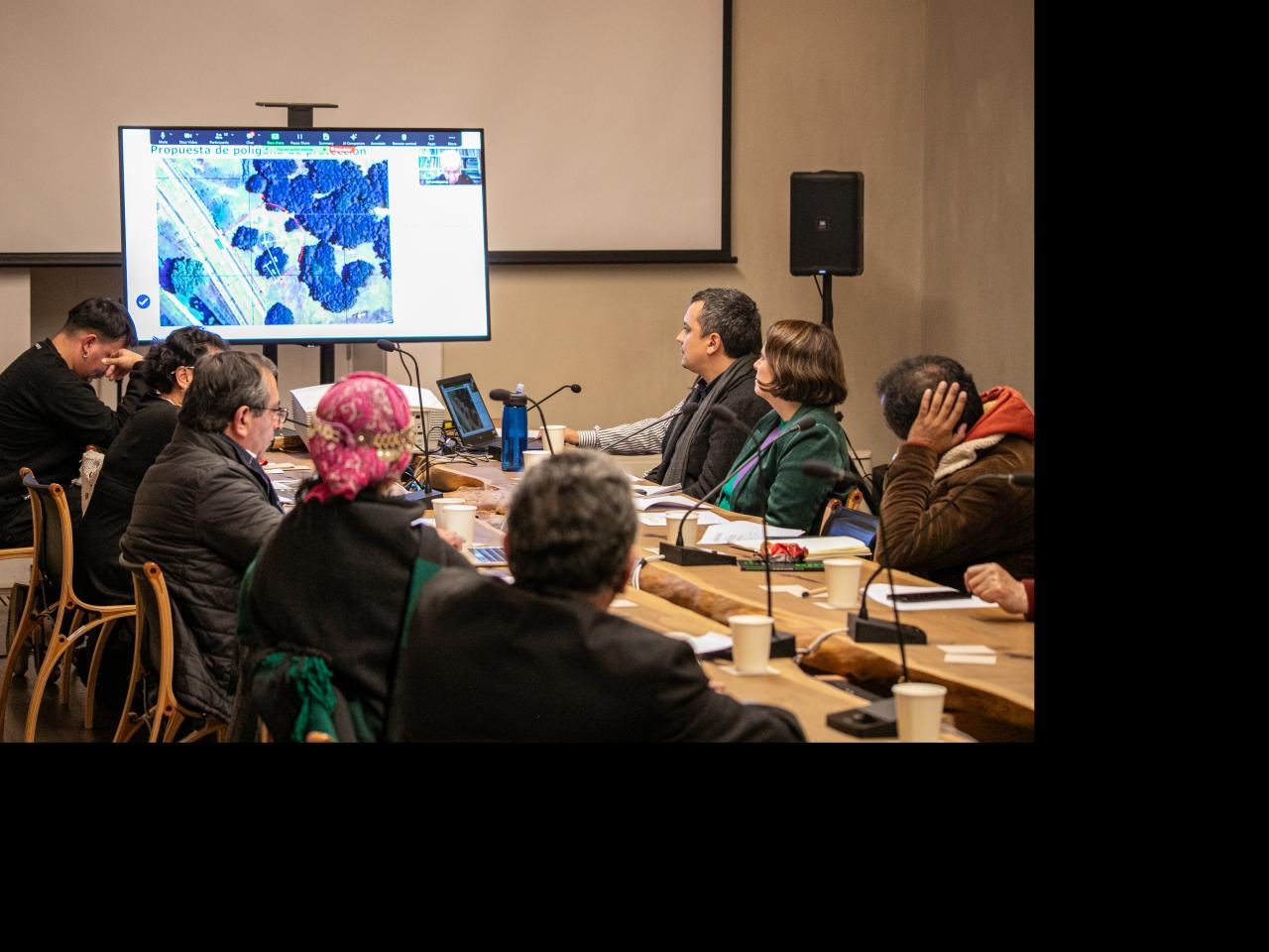 Imagen de CMN aprueba declaratoria como Monumento Histórico del primer memorial mapuche por derechos humanos