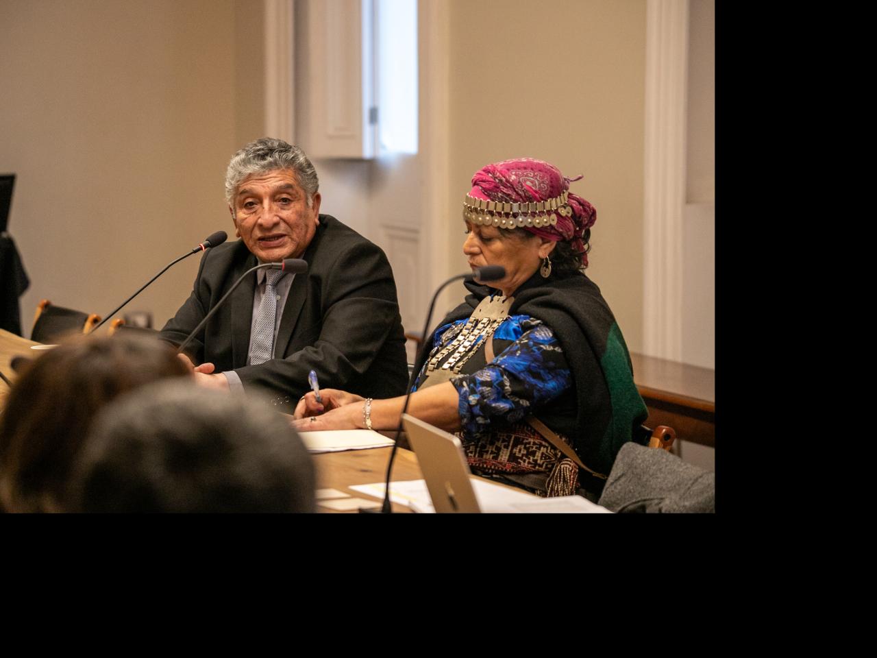 Imagen de CMN aprueba declaratoria como Monumento Histórico del primer memorial mapuche por derechos humanos