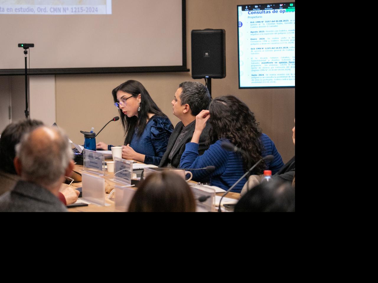 Imagen de CMN aprueba solicitud de declaratoria como Monumento Nacional del Asentamiento Minero de Potrerillos