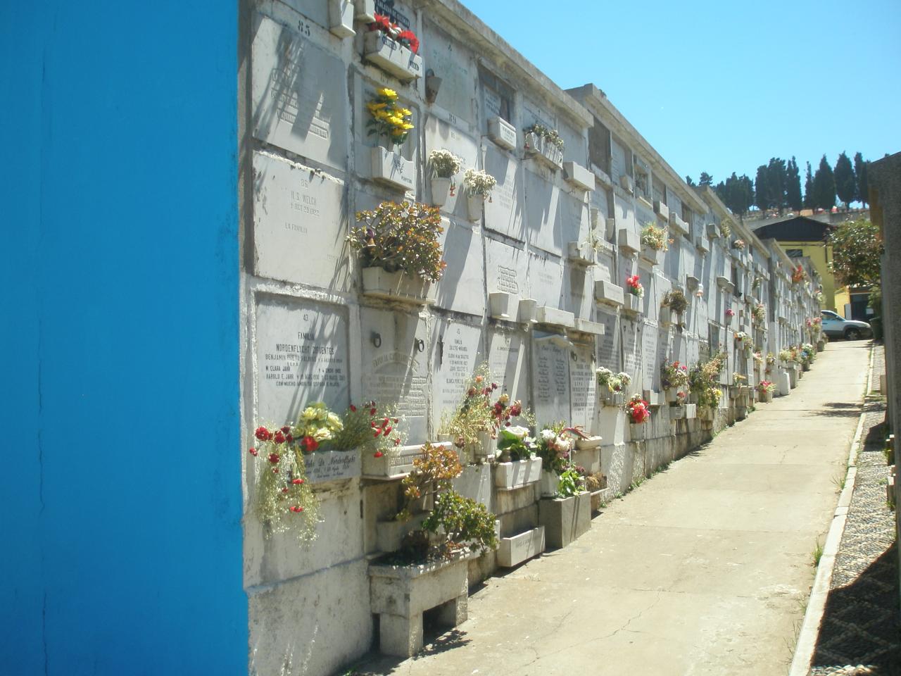 Imagen de Aprueban declaratoria como Monumento Nacional de Cementerio Santa Inés en Viña del Mar