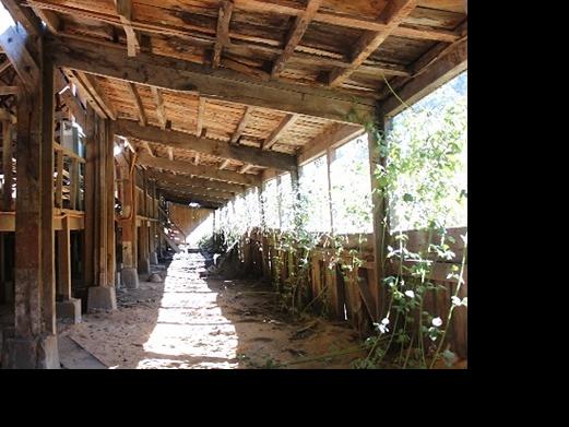 Imagen de Servicio del Patrimonio Cultural denuncia ante Fiscalía incendio de Monumento Histórico en Los Ríos