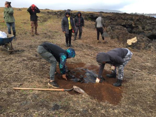 Imagen de Con “Umu Hatu”,  partieron obras para proteger el  complejo ceremonial Tahai en Rapa Nui