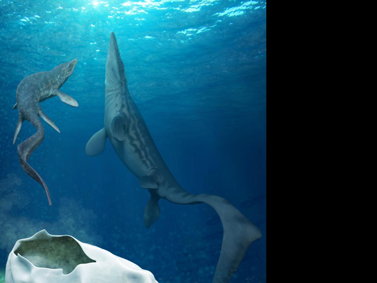 Imagen de Investigador del MNHN forma parte del equipo que encontró huevo gigante de reptil marino
