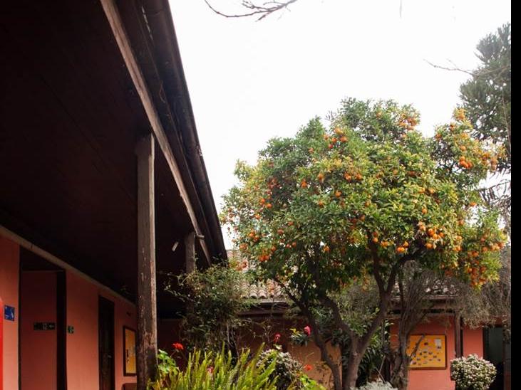 Imagen de Se aprueba declaratoria como Monumento Nacional &amp;quot;Casona El Tilo&amp;quot;