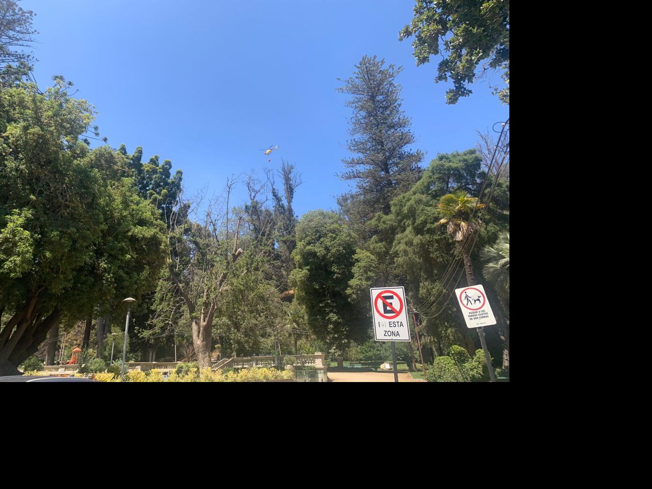 Imagen de Consejo de Monumentos Nacionales evalúa daños al patrimonio natural afectado por incendio en Viña del Mar