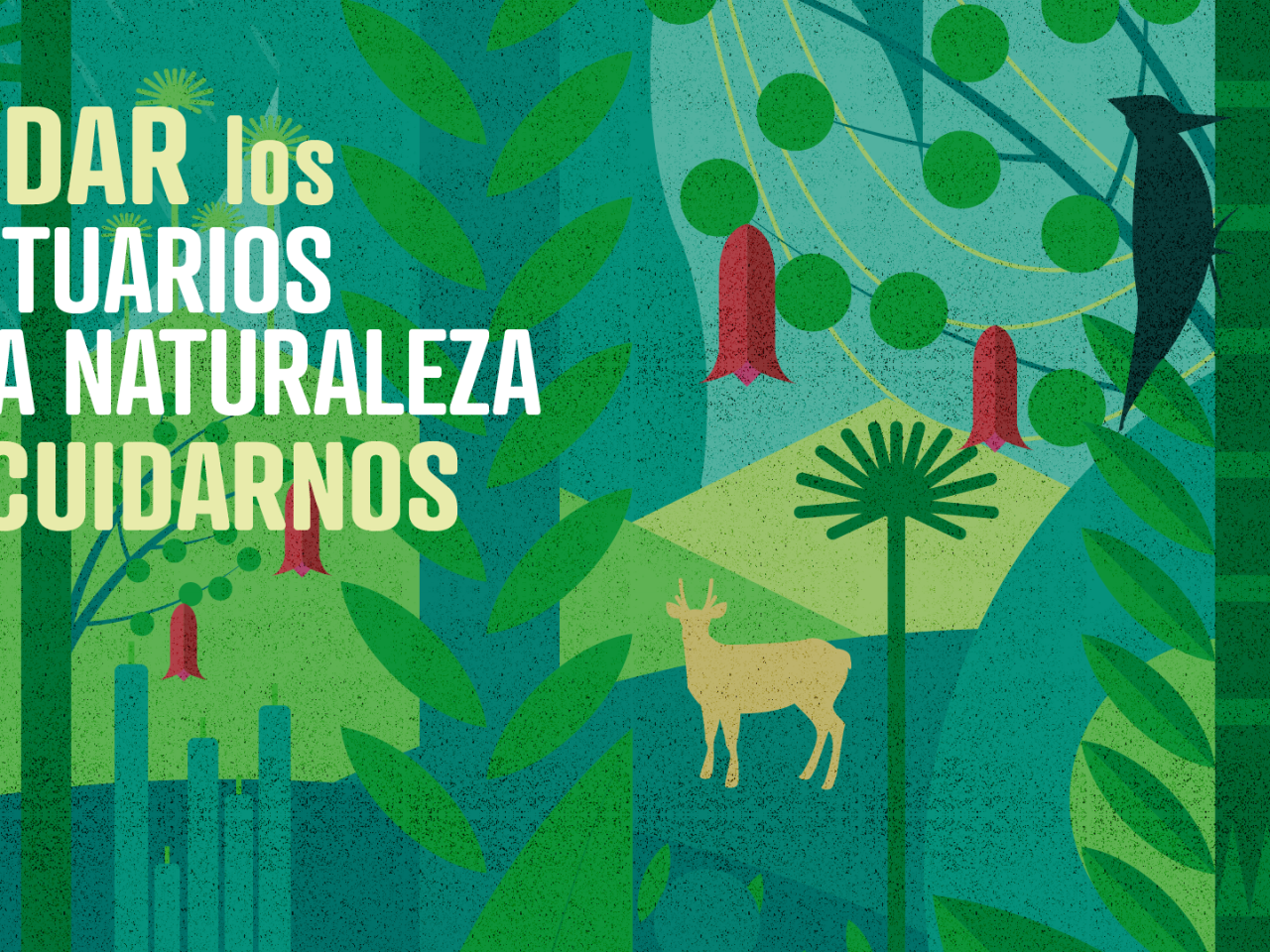 Imagen de Consejo de Monumentos Nacionales inicia campaña de concientización sobre Santuarios de la Naturaleza