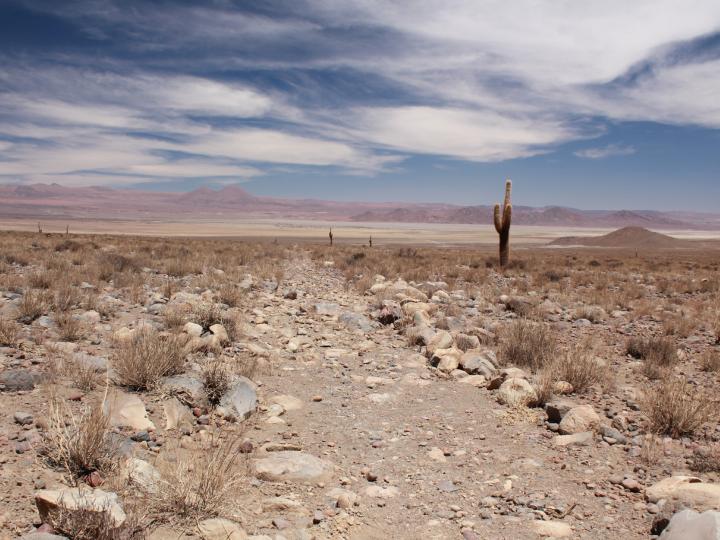 Imagen de Qhapaq Ñan-Sistema Vial Andino