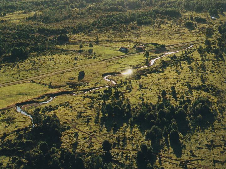 Imagen de Sitio Arqueológico Monte Verde