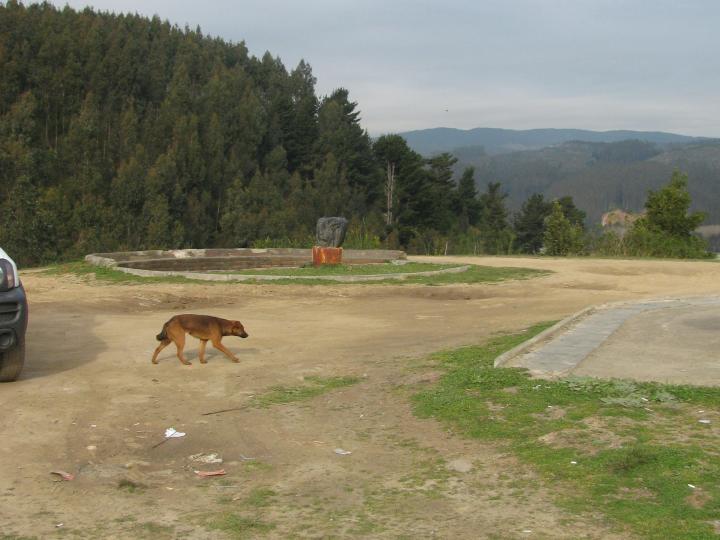 Imagen del monumento Fuerte de Colcura