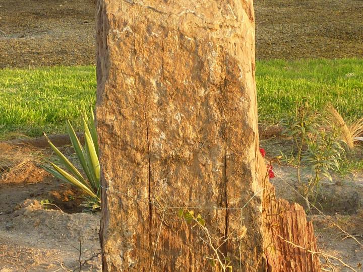 Imagen del monumento Carlos SaLas Iglesias