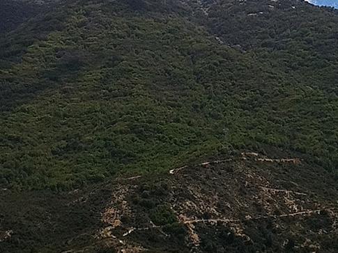 Imagen del monumento Sector del cerro El Roble