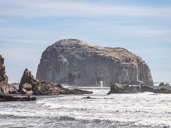 Imagen del monumento Las Rocas de Constitución