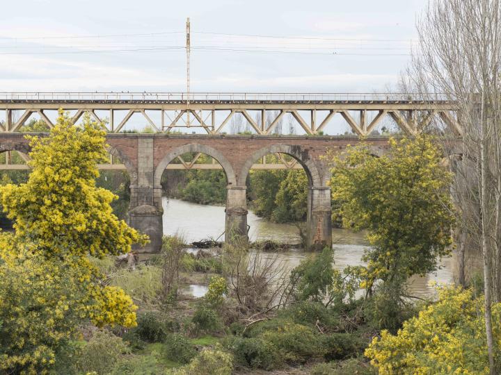 Imagen del monumento Puente sobre el río Pangue