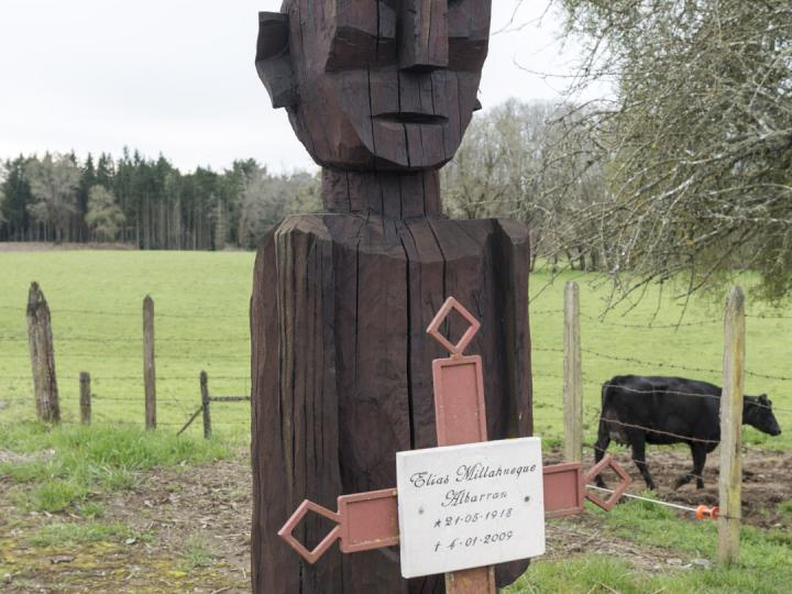Imagen del monumento Complejo religioso y  ceremonial indígena mapuche de Nolgyehue ó Nolguehue, Eltuwe (cementerio) y Menoko
